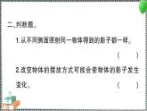 教科版科學(xué)三年級下冊第3課 影子的秘密 習(xí)題PPT