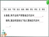 教科版科学三年级下册第二单元综合训练 习题PPT