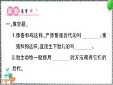教科版科學(xué)三年級下冊第7課 動物的繁殖 習(xí)題PPT