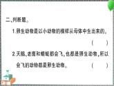 教科版科學(xué)三年級下冊第7課 動物的繁殖 習(xí)題PPT