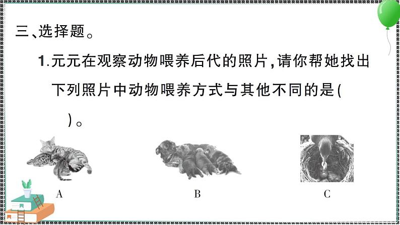 教科版科学三年级下册第7课 动物的繁殖 习题PPT05