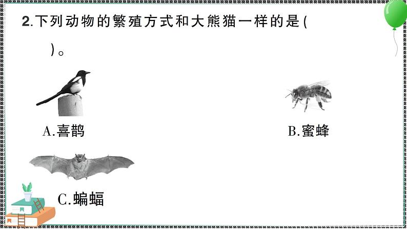 教科版科学三年级下册第7课 动物的繁殖 习题PPT06