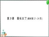 教科版科學三年級下冊第3課 蠶長大了 習題PPT