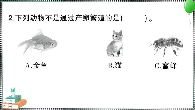 教科版科学三年级下册第2课 认识其他动物的卵 习题PPT07