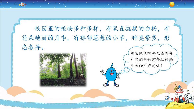 新冀人版四年级下册科学 5《植物的器官》课件PPT+教案05