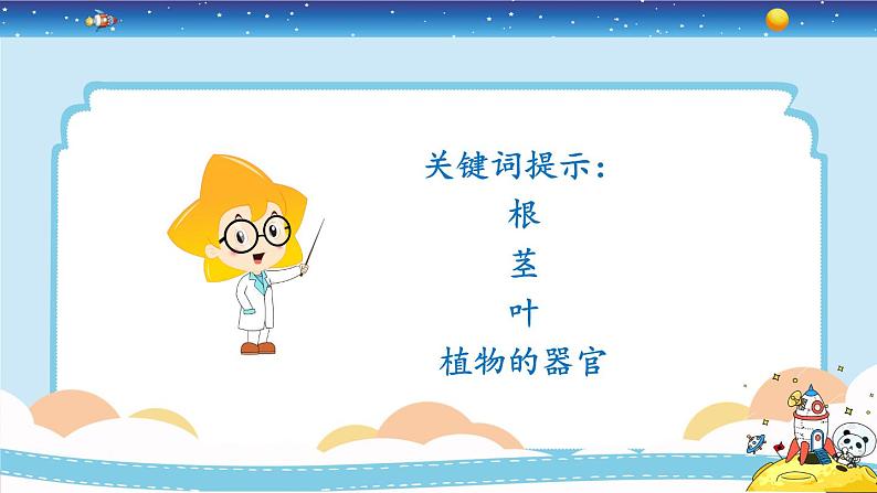 新冀人版四年级下册科学 5《植物的器官》课件PPT+教案06