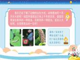 新冀人版四年级下册科学 9《蚕的一生》课件PPT+教案