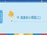 新冀人版四年级下册科学 19《我家的小菜园（二）》课件PPT+教案