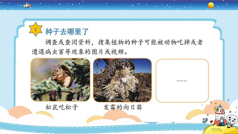 新冀人版四年级下册科学 6《植物的繁殖》课件PPT+教案08