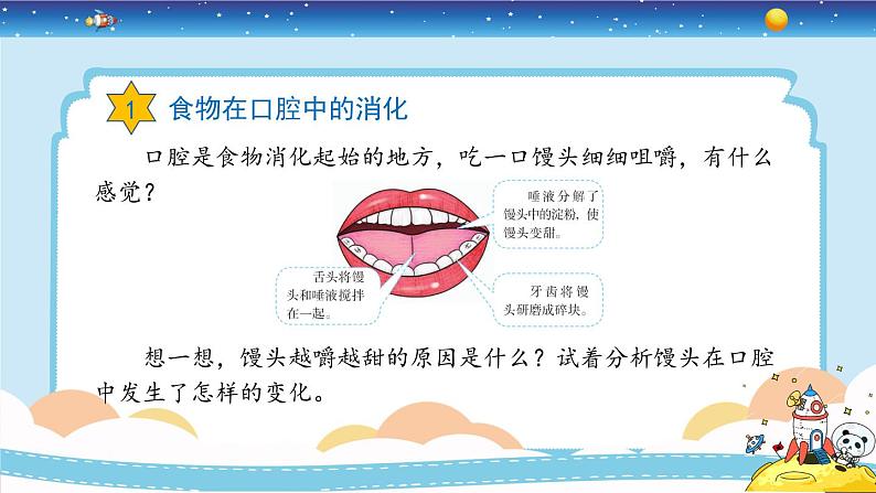 新冀人版四年级下册科学 13《消化与吸收》课件PPT+教案08