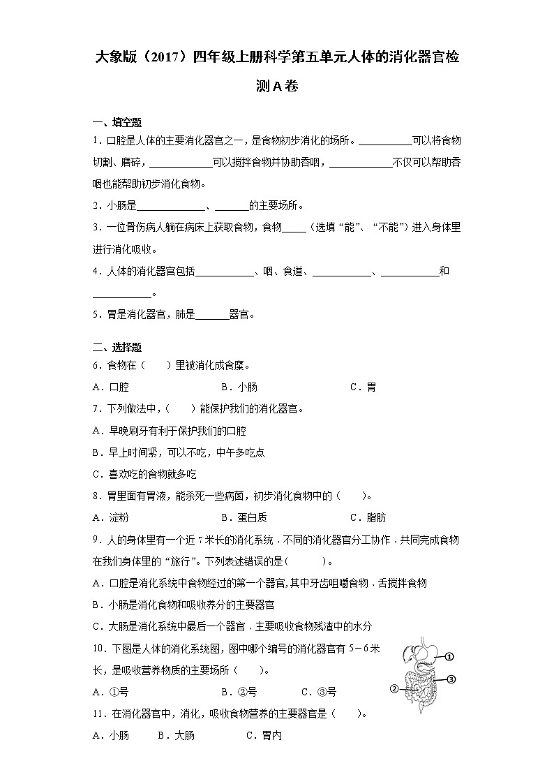 大象版（2017）四年级上册科学第五单元人体的消化器官检测卷（一）含答案第1页