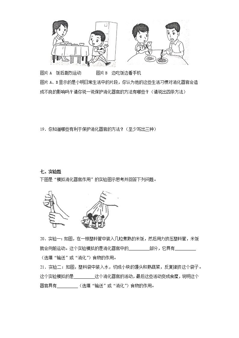 大象版（2017）四年级上册科学第五单元人体的消化器官检测卷（一）含答案第3页