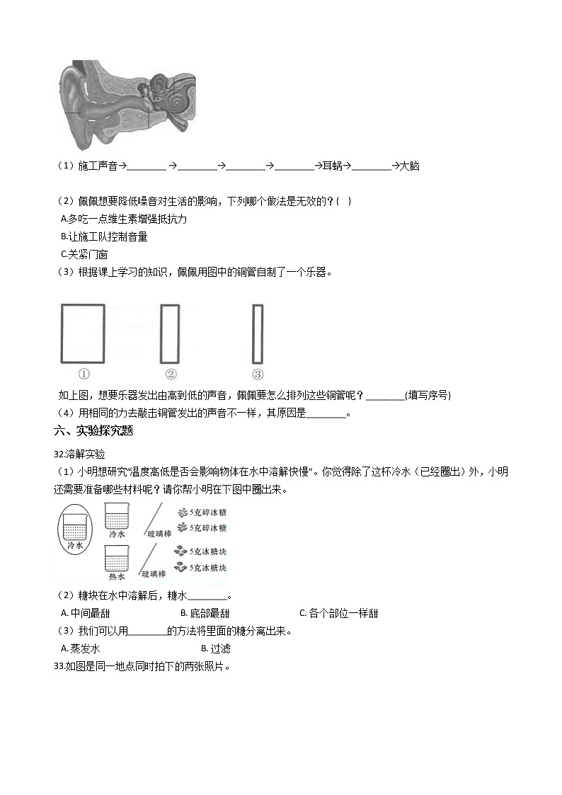 大象版三年级上册科学期末综合复习测试题（三）附答案第3页