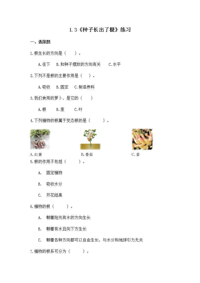 教科版(2017)科学四年级下册1.3《种子长出了根》PPT课件+教案+同步练习01