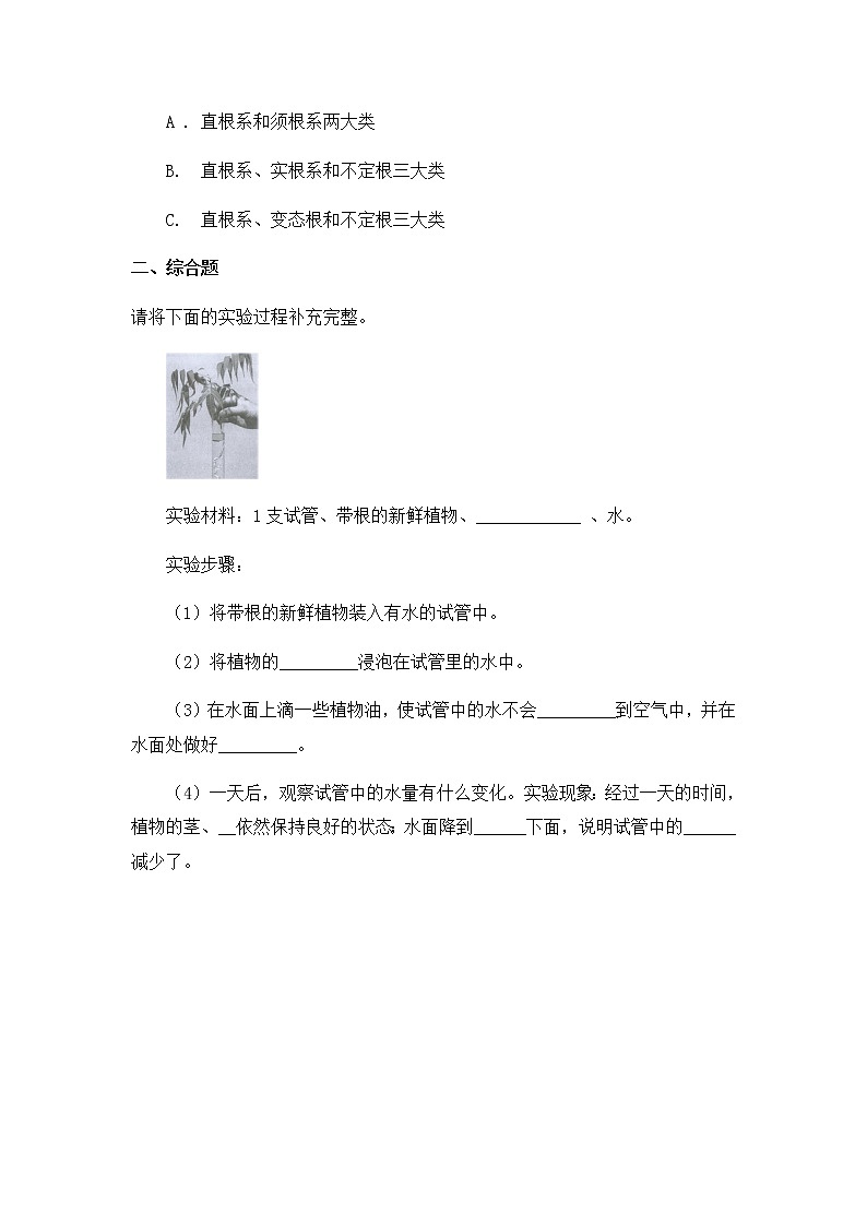 教科版(2017)科学四年级下册1.3《种子长出了根》PPT课件+教案+同步练习02