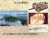 第九课地表探秘课件PPT