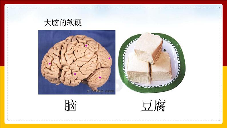 6人体司令部课件PPT07