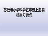 小学科学苏教版五年级上册全册期末实验复习课件（2021新版）