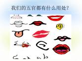 1.1《探索自然》课件