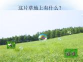 1.1《探索自然》课件