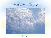 1.1《探索自然》课件