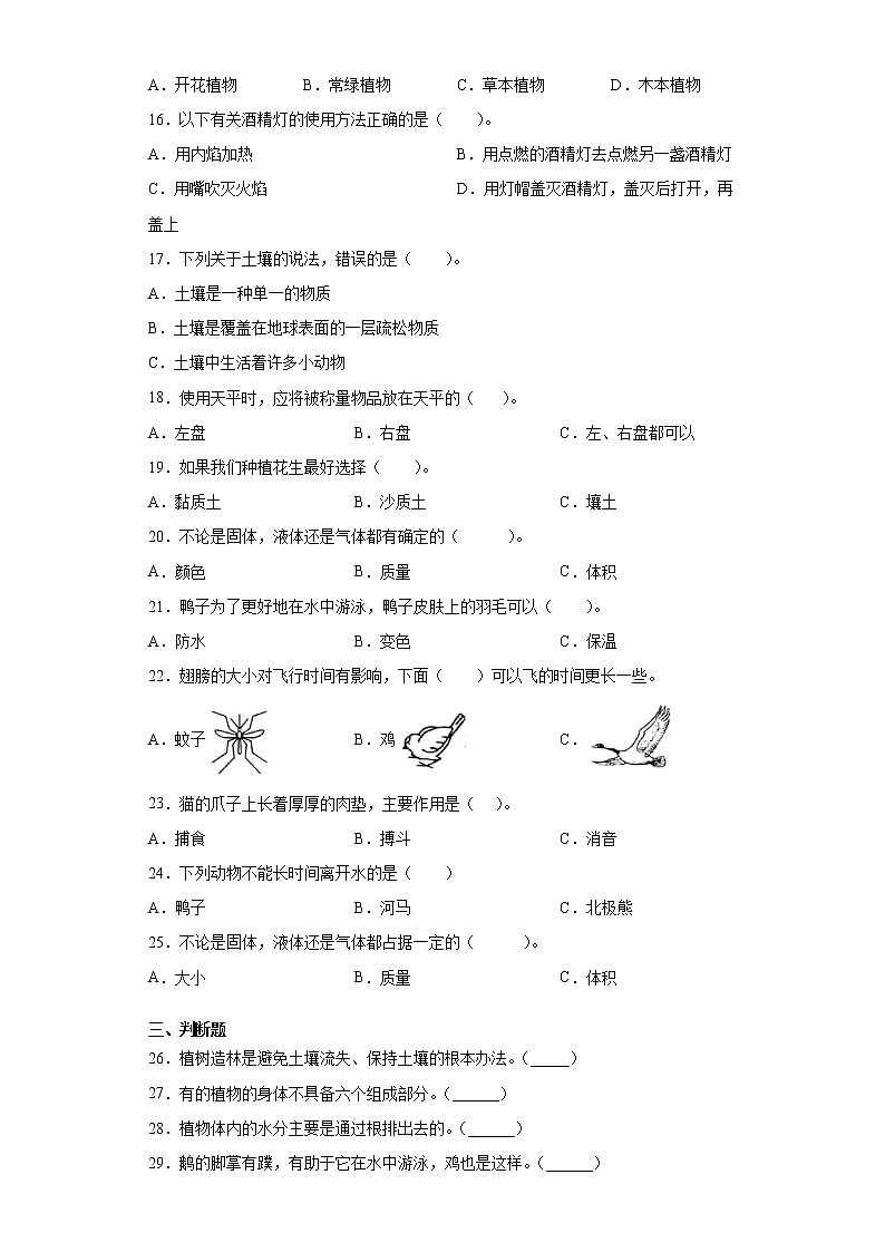 青岛版三年级上册科学期末过关测试卷（含答案）第2页