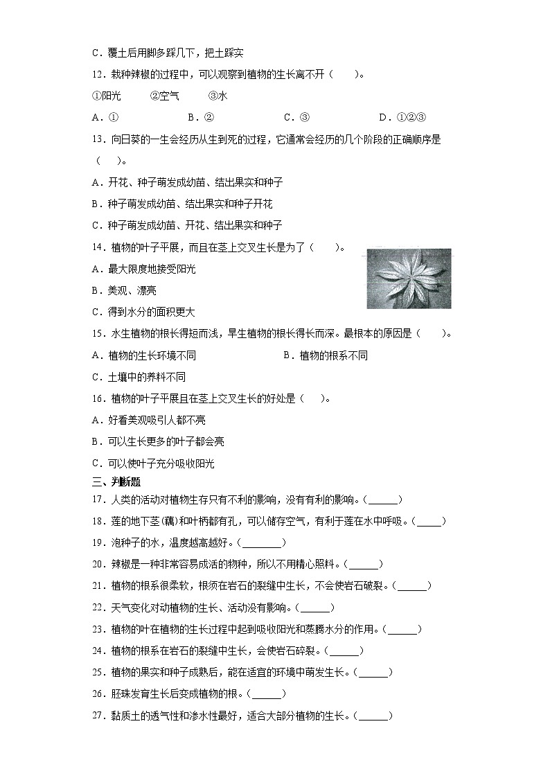 青岛版四年级下册科学第四单元植物的生长达标训练卷（一）含答案02