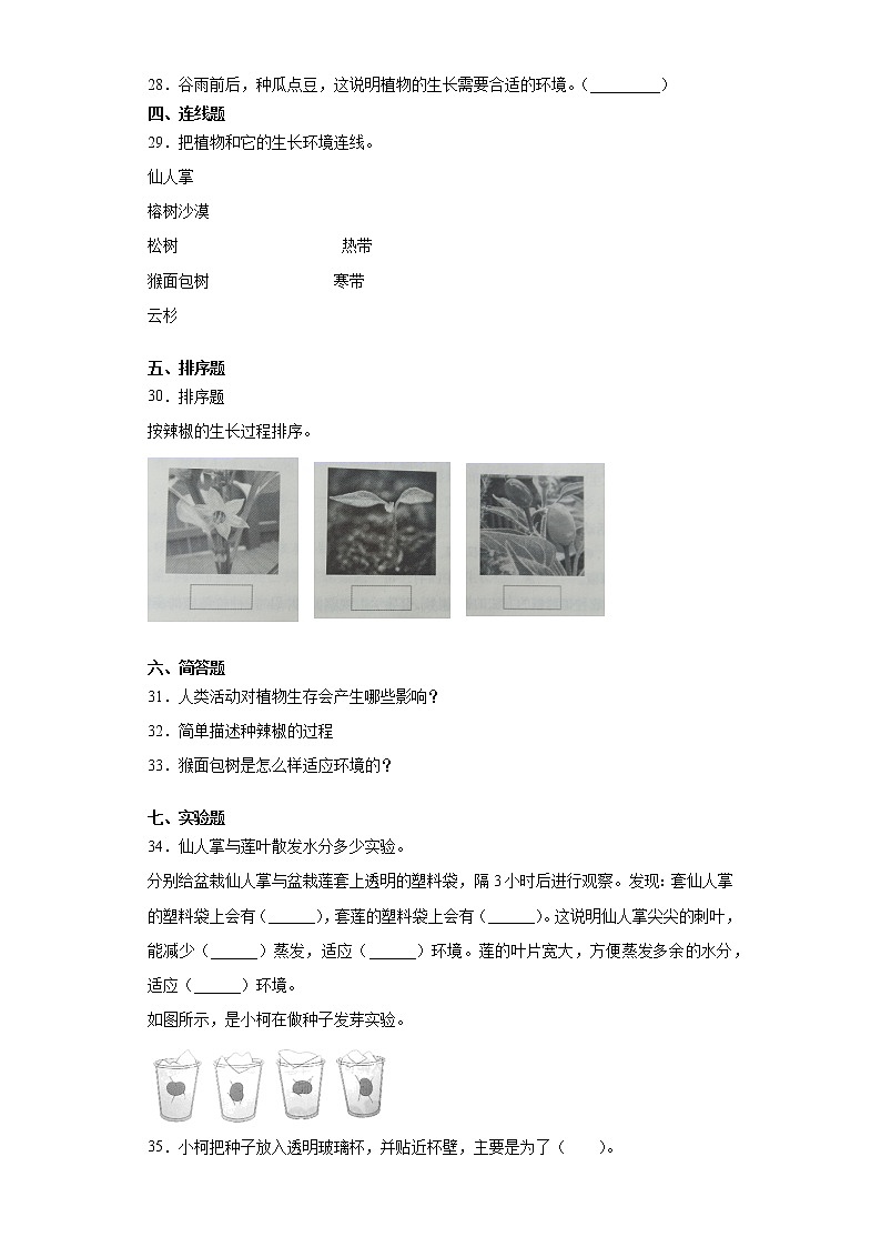 青岛版四年级下册科学第四单元植物的生长达标训练卷（一）含答案03