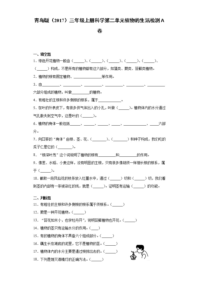 青岛版三年级上册科学第二单元植物的生活过关测试卷（含答案）01