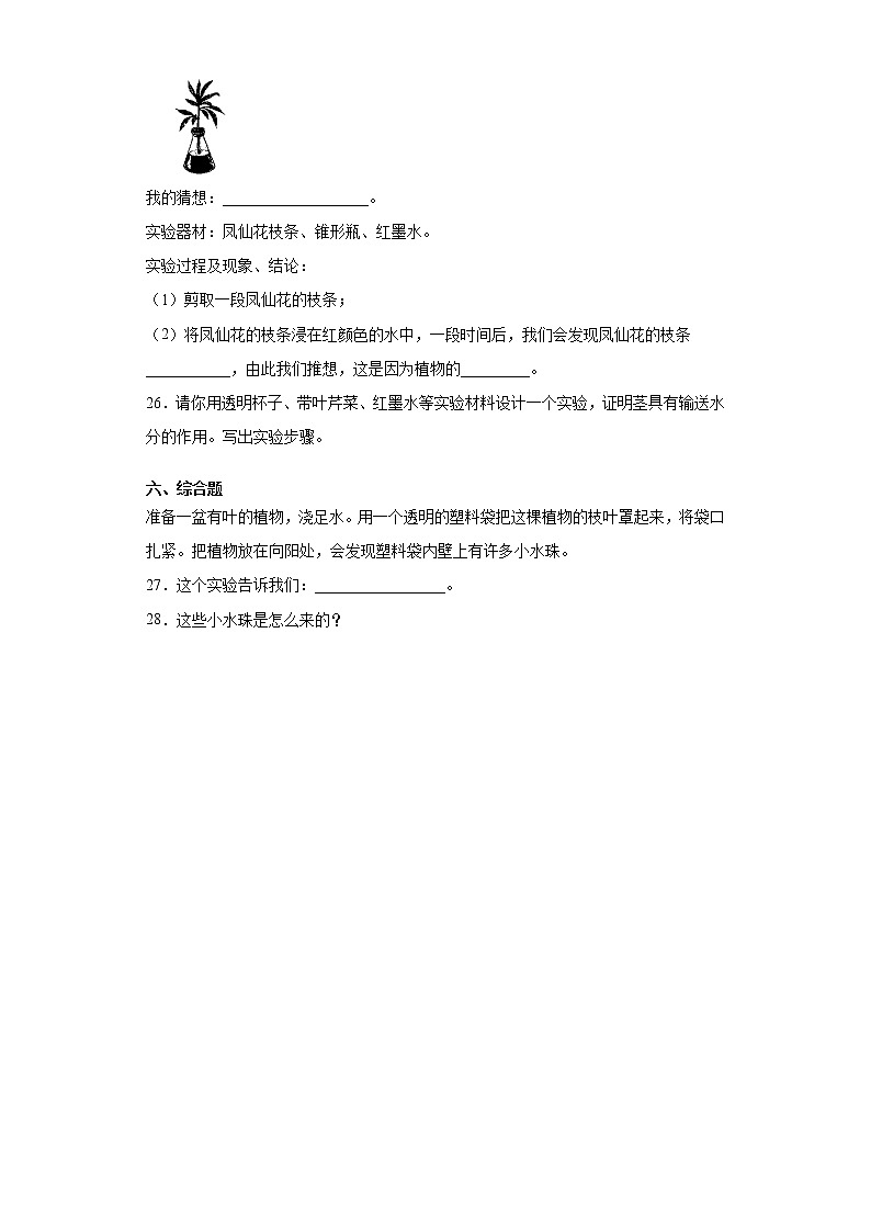 青岛版三年级上册科学第二单元植物的生活过关测试卷（含答案）03