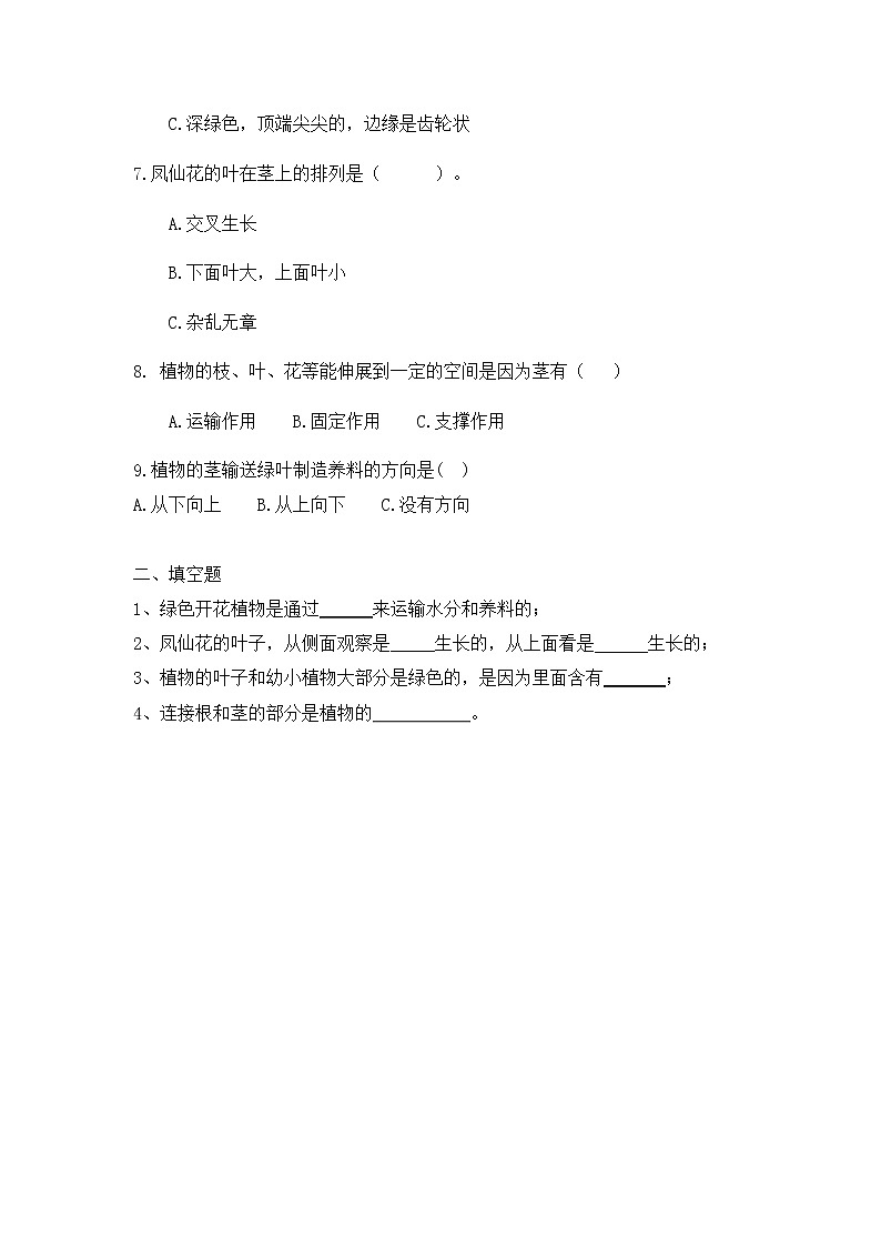 教科版(2017)科学四年级下册1.4《茎和叶》PPT课件+教案+同步练习02