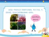 1.2《樹與草》授課課件