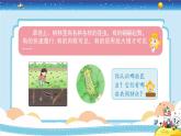 1.5《昆蟲》授課課件