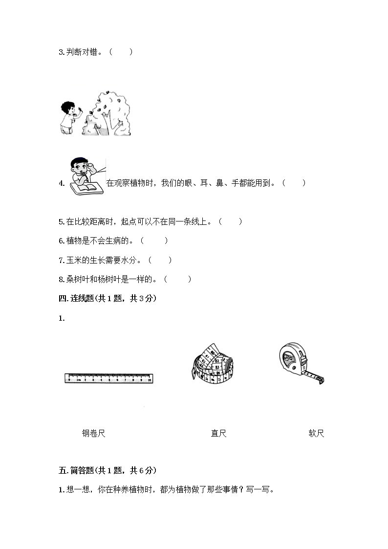 教科版一年级上册科学期末测试卷（精练）（研优卷）03