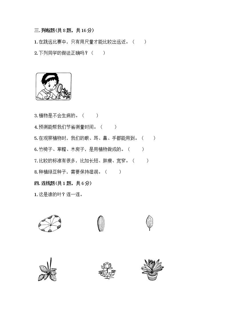 教科版一年级上册科学期末测试卷及答案（新）AB卷03