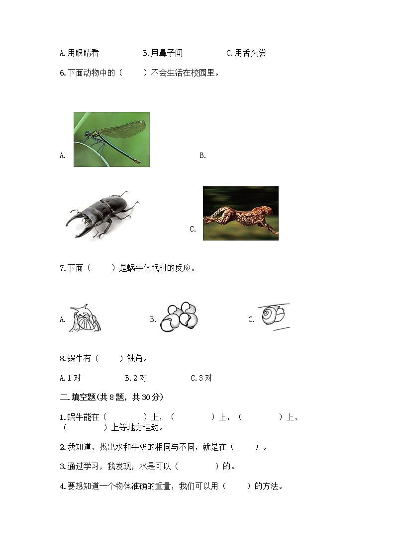 教科版一年级下册科学期末测试卷带答案（最新）含答案（黄金题型）第2页