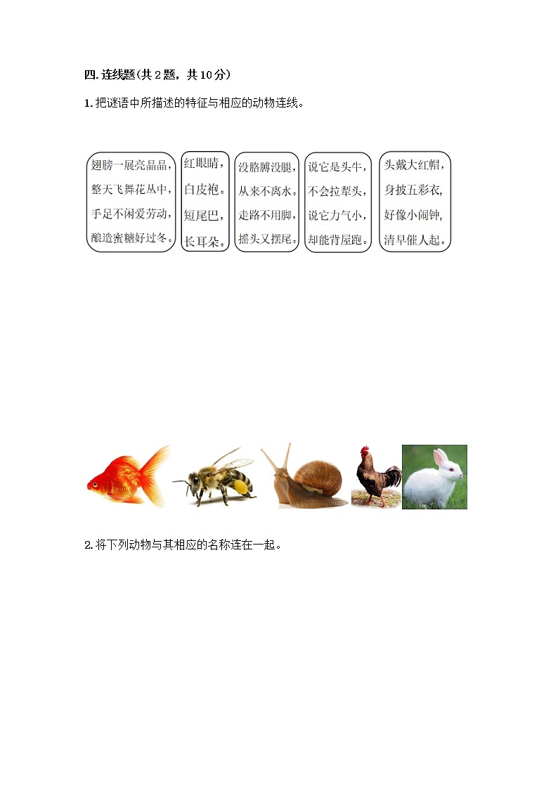 教科版一年级下册科学期末测试卷含答案（夺分金卷）附答案（典型题）03
