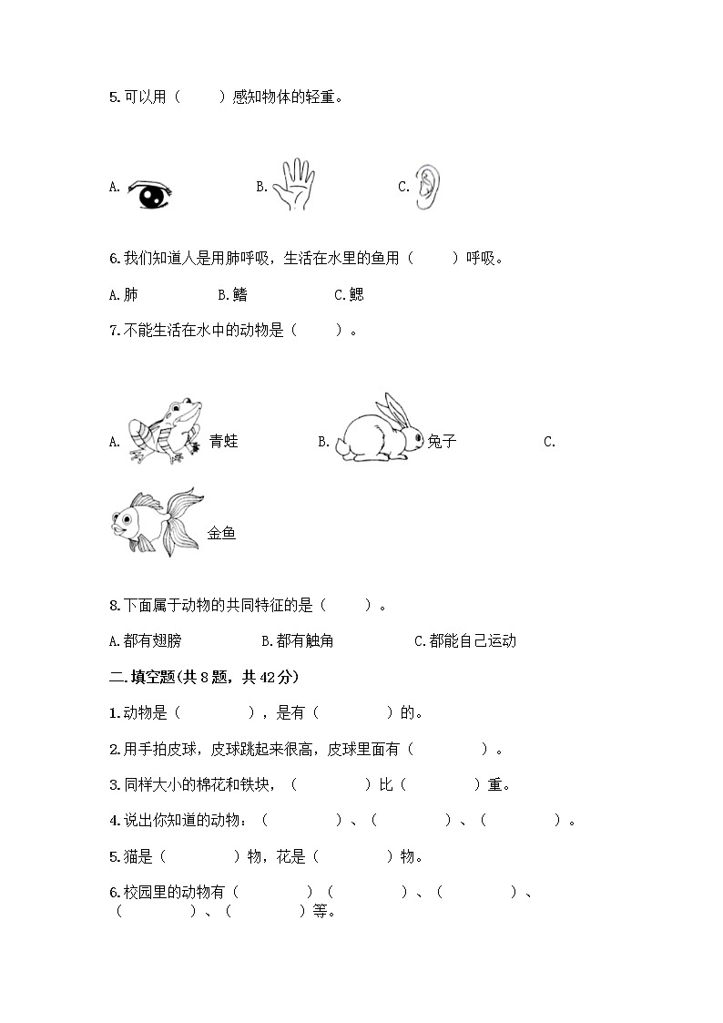 教科版一年级下册科学期末测试卷带答案（考试直接用）含答案（B卷）02