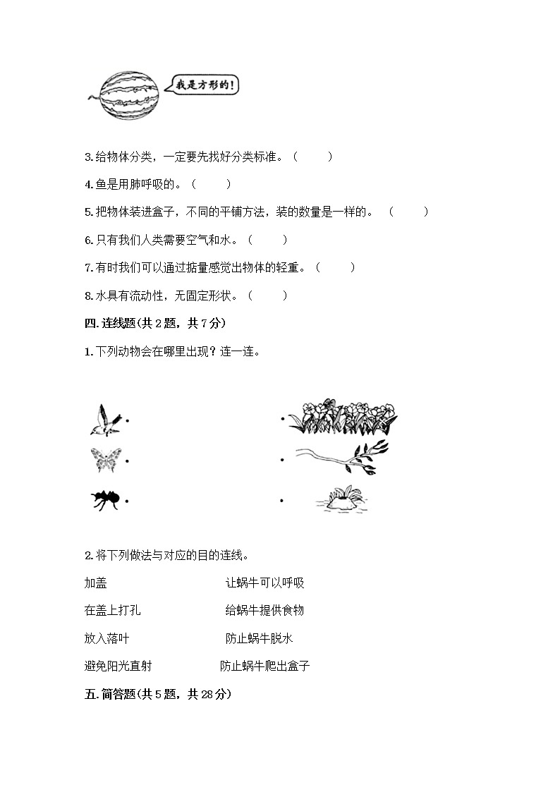 教科版一年级下册科学期末测试卷附答案（综合题）带答案AB卷03