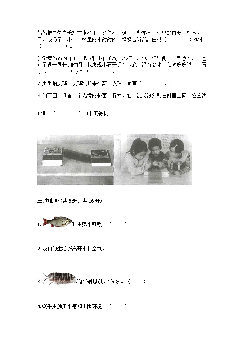 教科版一年级下册科学期末测试卷带答案（综合卷）含答案（综合题）第3页