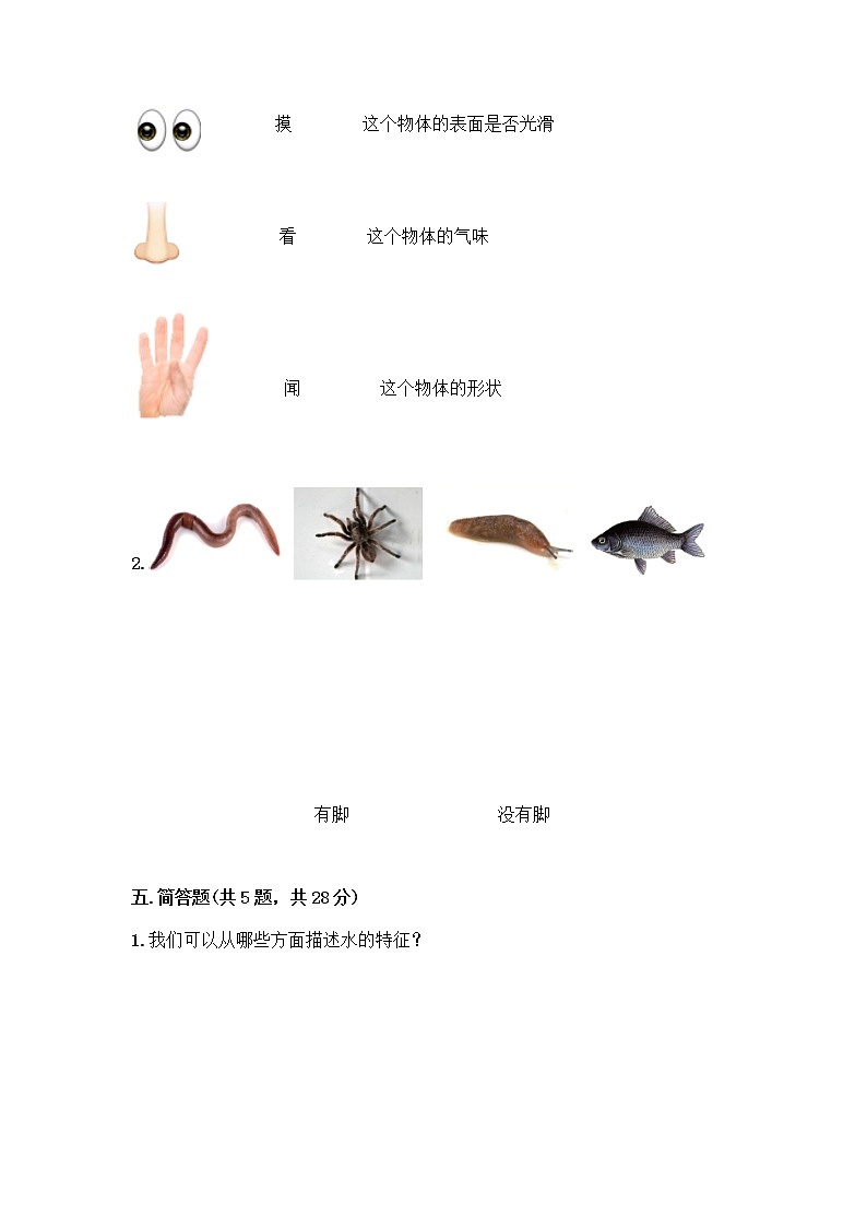 教科版一年级下册科学期末测试卷带答案（A卷）附答案（轻巧夺冠）03