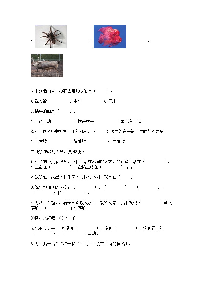 教科版一年级下册科学期末测试卷附答案（突破训练）带答案（综合题）02