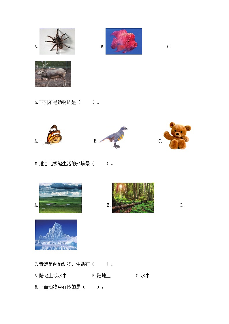 教科版一年级下册科学期末测试卷附答案（轻巧夺冠）带答案（基础题）02