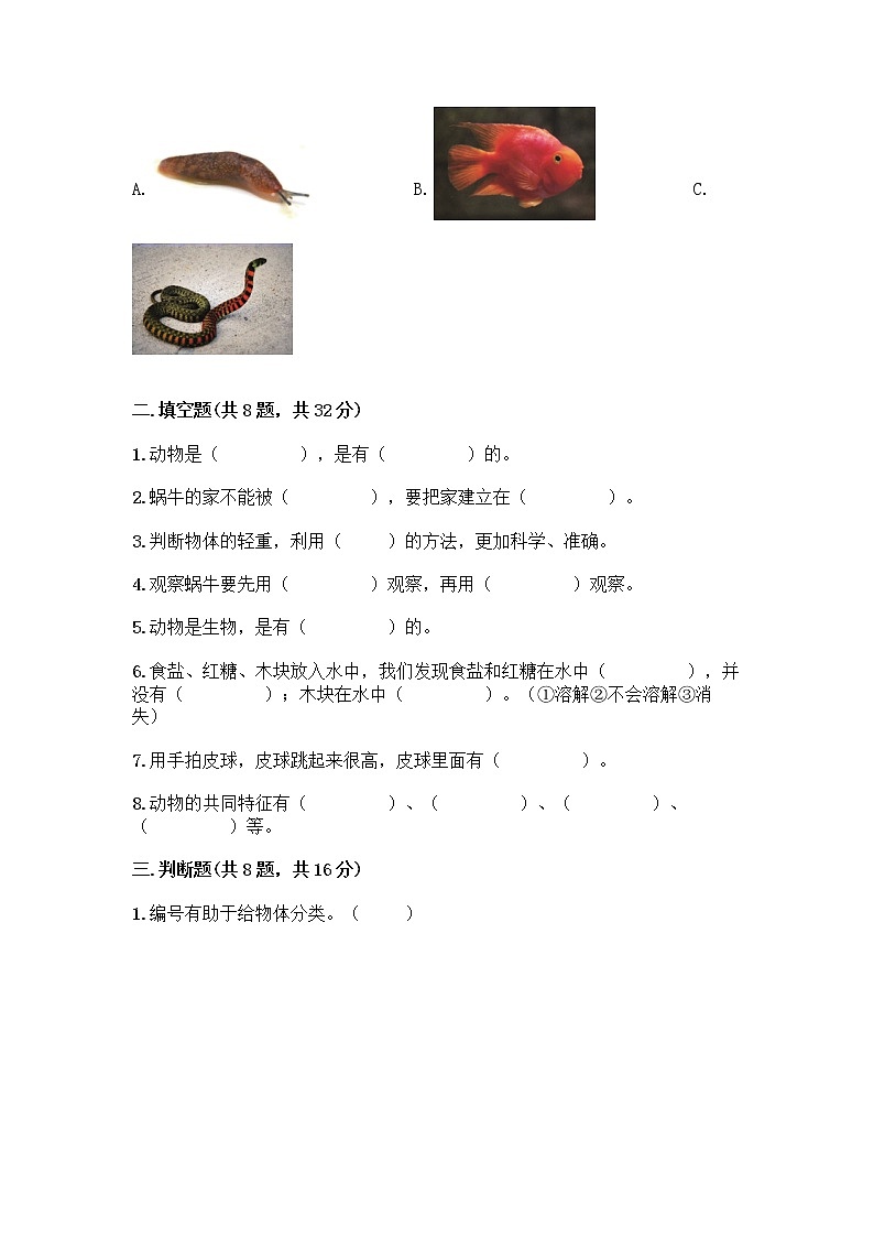 教科版一年级下册科学期末测试卷附答案（轻巧夺冠）带答案（基础题）03