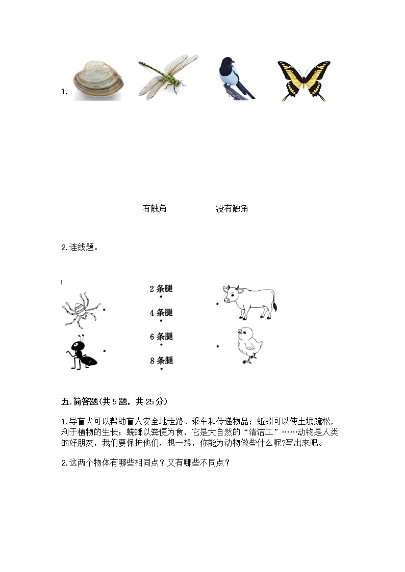 教科版一年级下册科学期末测试卷带答案（研优卷）含答案（巩固）03