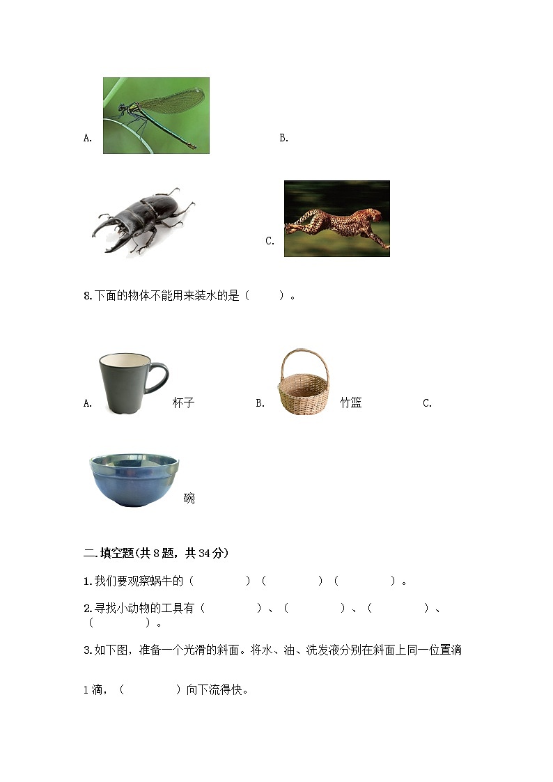 教科版一年级下册科学期末测试卷附参考答案（考试直接用）含答案（综合卷）02