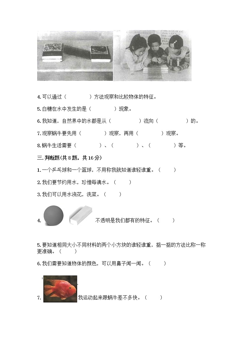 教科版一年级下册科学期末测试卷附参考答案（考试直接用）含答案（综合卷）03