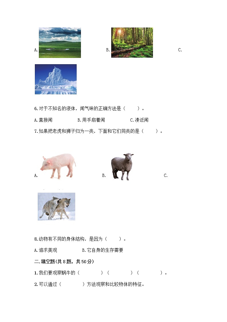 教科版一年级下册科学期末测试卷带答案AB卷附答案（培优B卷）02