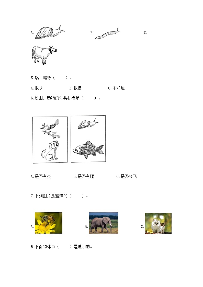 教科版一年级下册科学期末测试卷及答案（全优）（综合卷）02