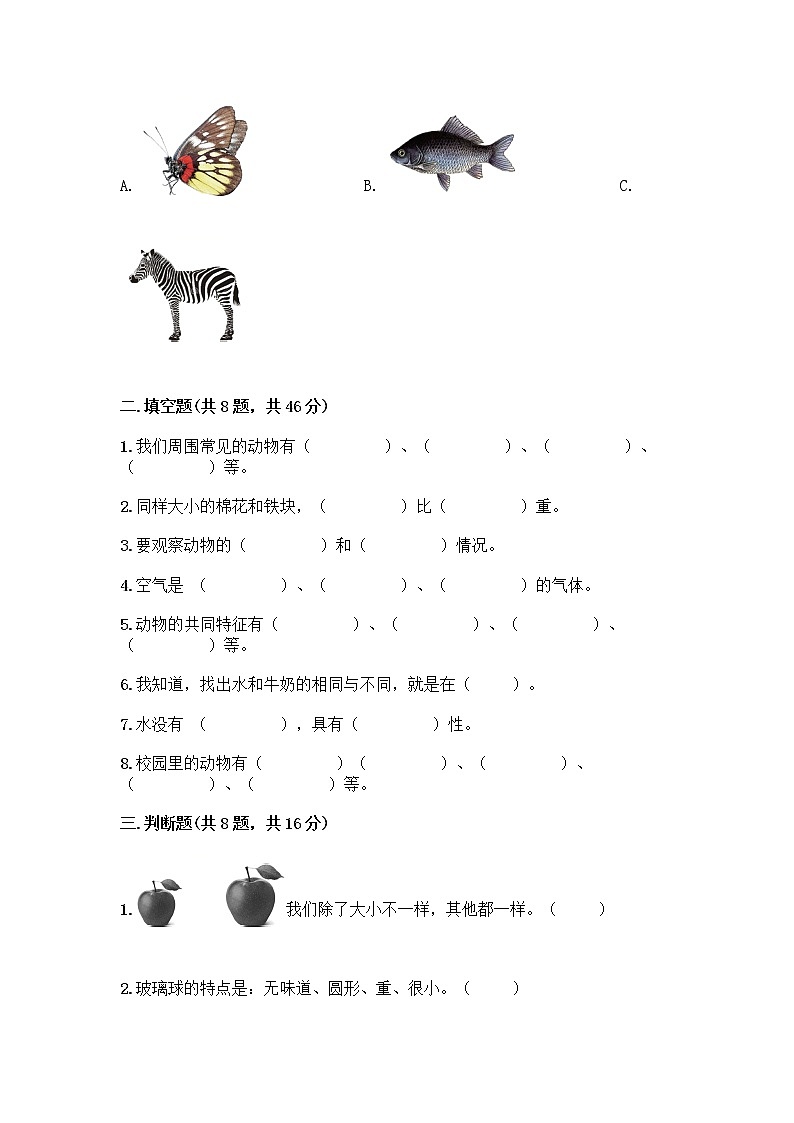 教科版一年级下册科学期末测试卷及答案（夺冠系列）附答案02